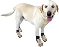 Dog Snow Boots All Weather Slush Pups Shoes Doggieduds  